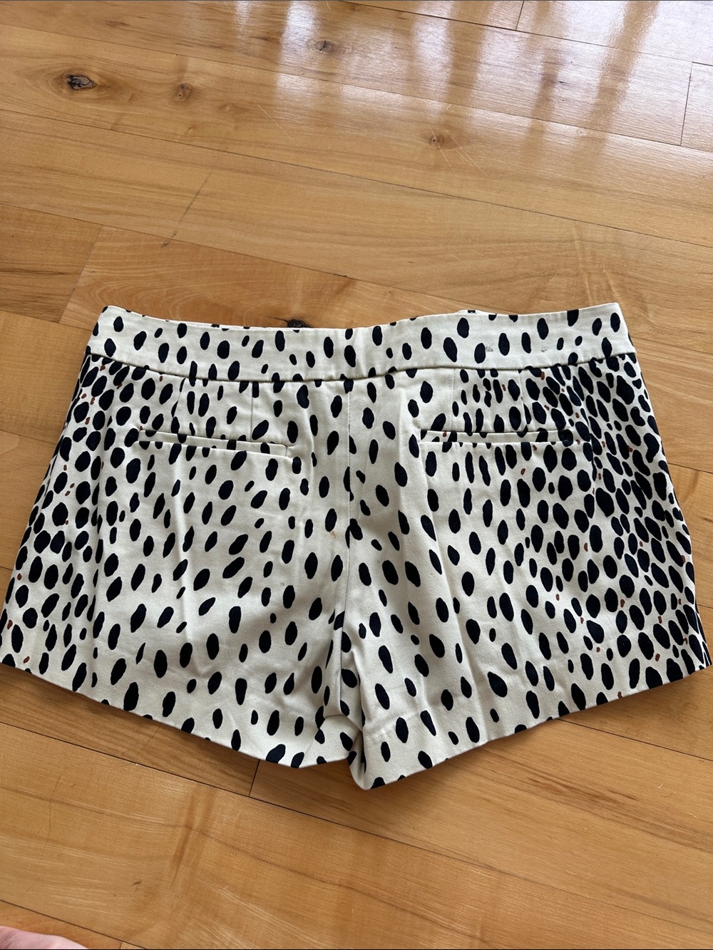 Leopard print Women’s Shorts